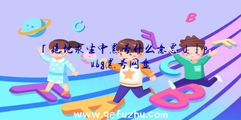 「绝地求生中黑号什么意思」|pubg黑号网盘